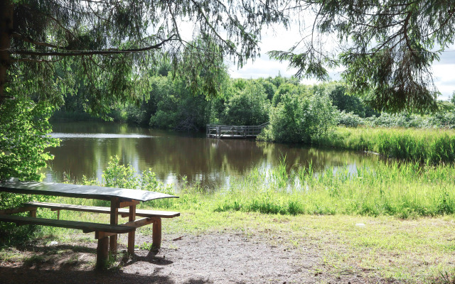 MAXROOMS у Плеса