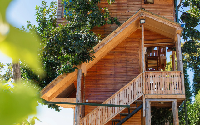 TreeHouse GoldenSeaView TreeHouse Private house
