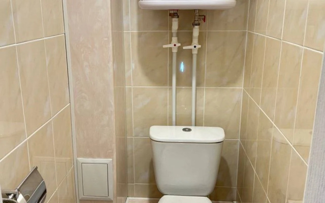 Квартира Тобольск - как дома, 3-х комнатная квартира (посуточно)