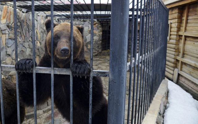 Частный Дом Ёлки 3