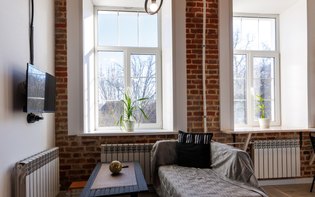 Turgenevskaya Loft Flat