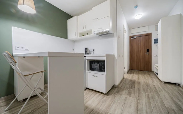 Studiya Na Ulitse Salova, 61 0915 Flat