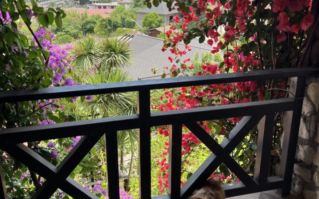 El Platano Guest House