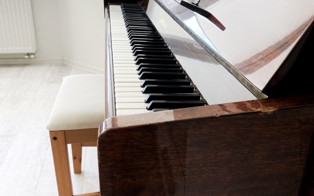 Turgenev Apartment In Zelenogradsk Apartments