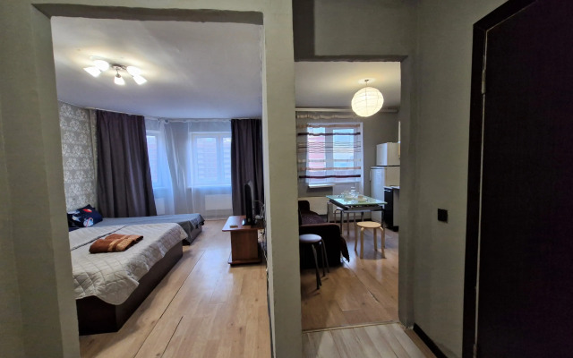 V Ivanteevke Na Ul. Berezhok Apartments
