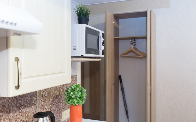 Апартаменты Делюкс на Пушкинской 12