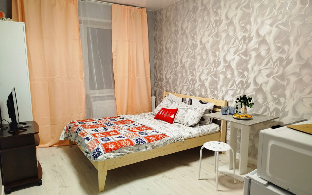 Vidovaya Studiya Aeroport Tolmachevo Apartments