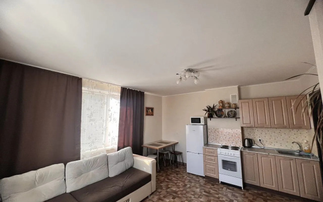 Апартаменты 37 на улице Елизаровых 15/1