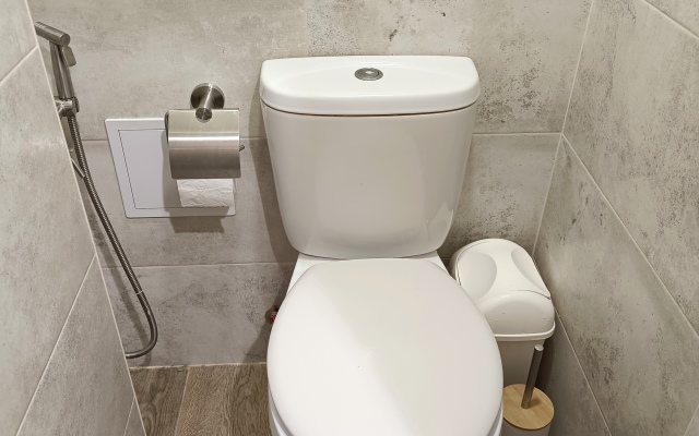 Квартира на Петроградке