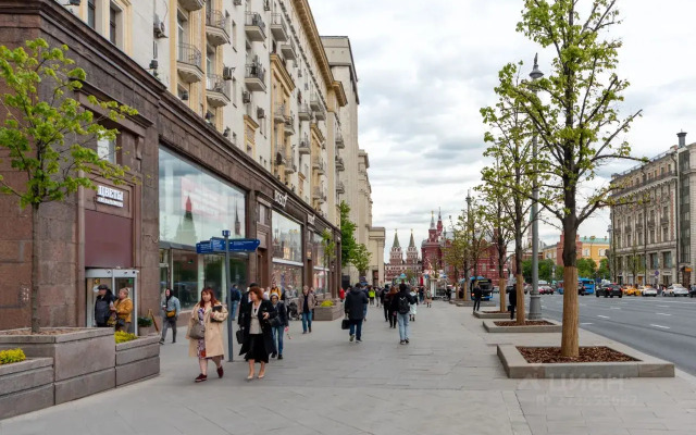 Odnokomnatnaya Na Tverskoy Flat