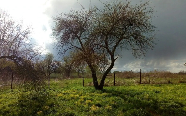 Частный Дом Эко-Коттедж Лосиное