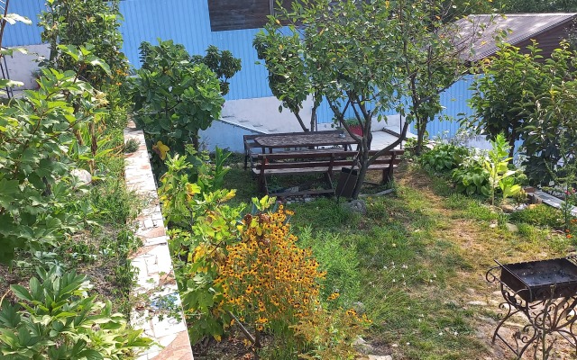 Zelyonaya Gora Guest house