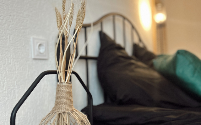 Квартира Сердце Окольного города - на Спегальского