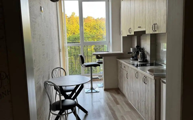 Дайкири — апартаменты с панорамными окнами и видом на озеро Тихое