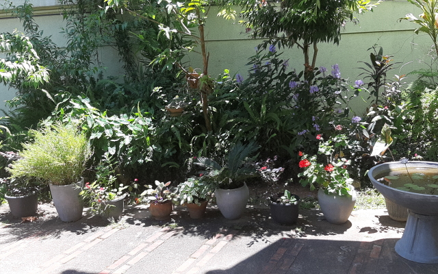 Kandy Green View Bungalow Guest House