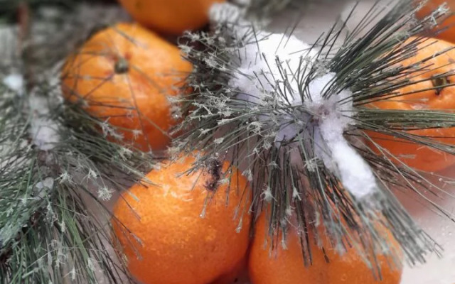 Частный дом стильный рядом с источником