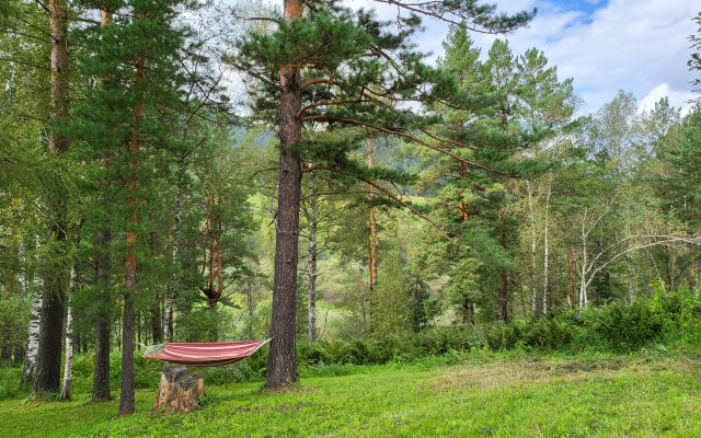 База отдыха Вдохни Алтай