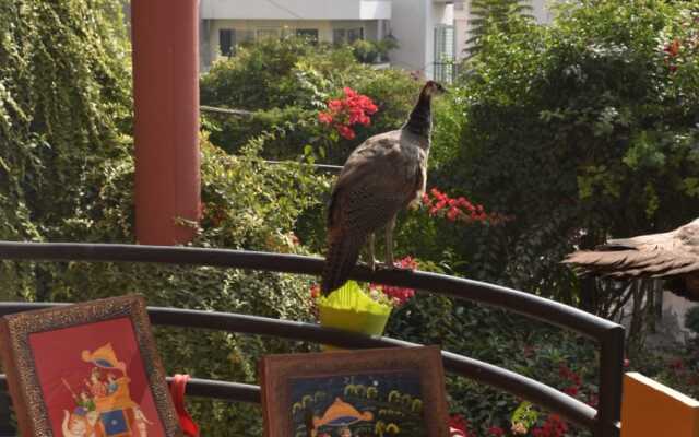 Jaipur Hostel
