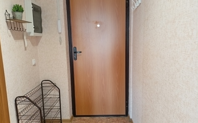 Studiya S Vidom Na Ozero Flat