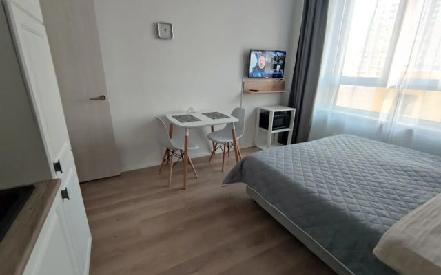 Апартаменты у аэропорта Внуково