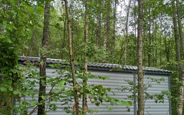 Кемпинг Модная коза