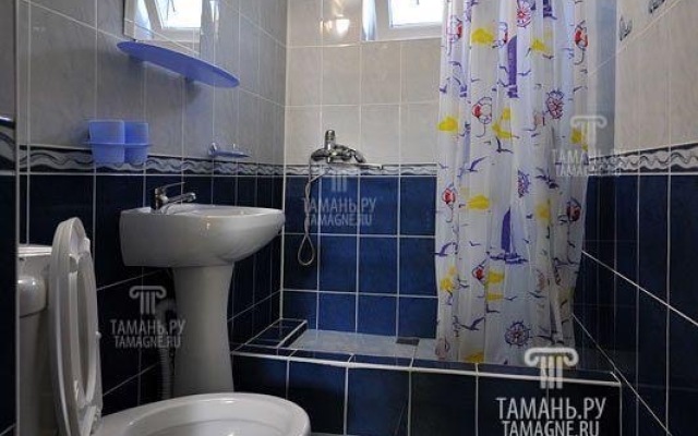 Guest house Semeyny