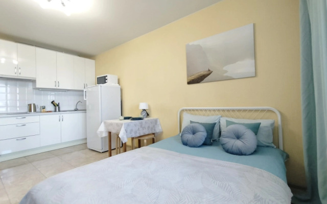 Апартаменты Студия Комфорт с Балконом Lesnaya