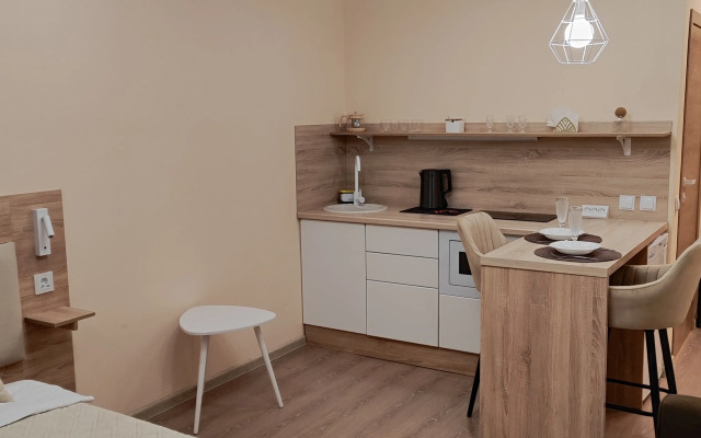 Sovremenniye s Vidom na Noviy Most Apartments