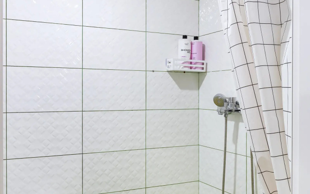 Апартаменты Roomstay Садовая Делюкс