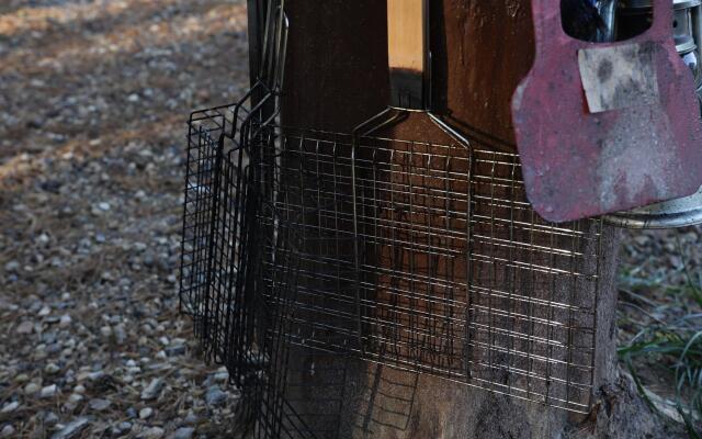 Гостевой дом Дом у леса