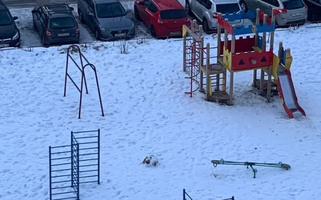 Квартира на улице Ярославской 33