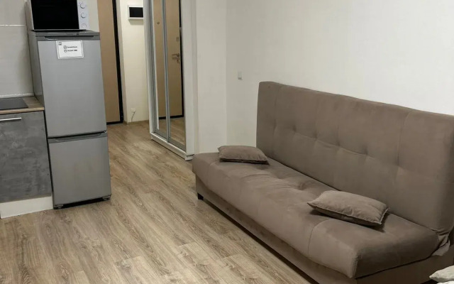 Dream House U Aeroporta Apartments