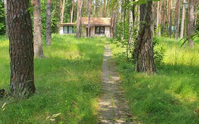 Recreation camp Zeleny Lug