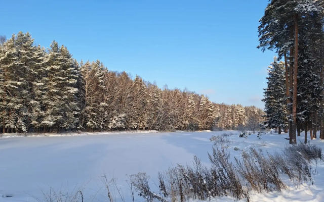 Частный дом в Заветах Ильича с розовой гостиной