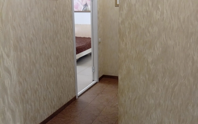 Квартира однокомнатная с джакузи в центре города