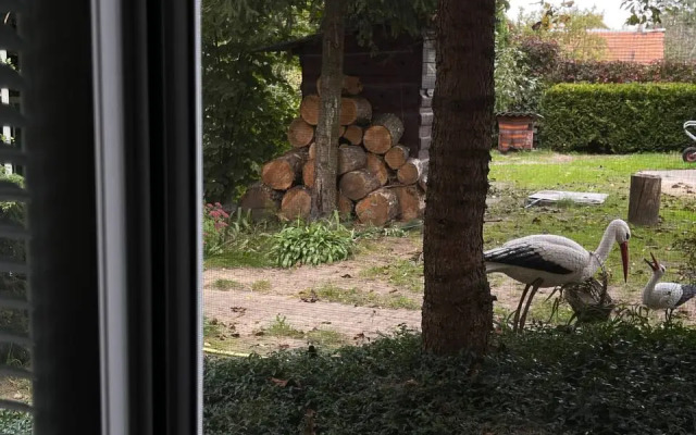 U Ozera Guest House