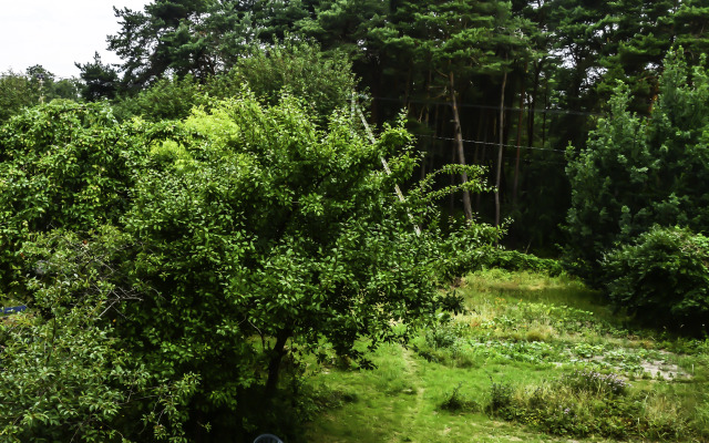 Гостевой дом Мини гостиница на Куршской косе поселок Рыбачий улица Набережная - фото 4