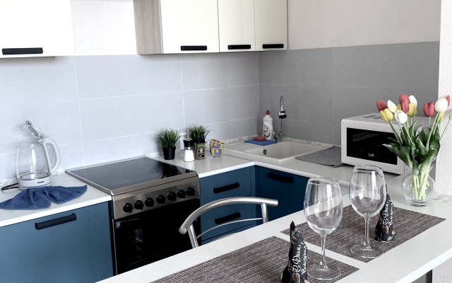 Evro Studiya v Rayone Parka Galitskogo Apartments