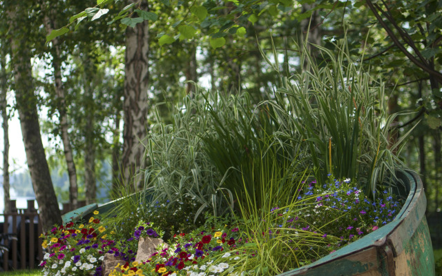 ELOVOE  Scandinavian Park-Hotel