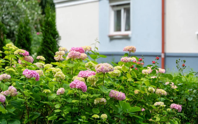 Квартира на Красной Калининград