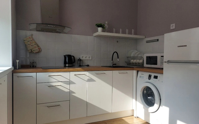 Olivinn dlya dvoikh v tsentre goroda Apartments