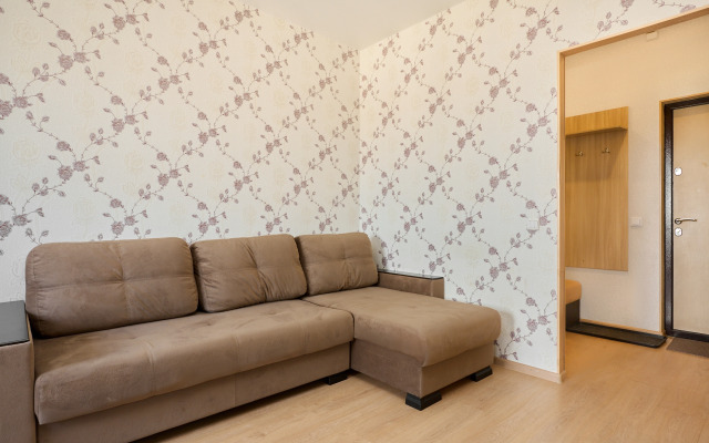 Uyutnaya Studiya Na Drevlyanke Flat