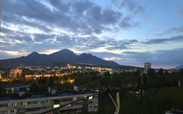 Квартира Forest Magic