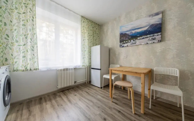Odnokomnatnyye Vozdushnaya gavan 4 Apartments