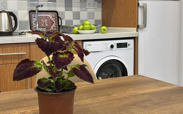 Апартаменты Chic Urban Retreats near Nişantaşı
