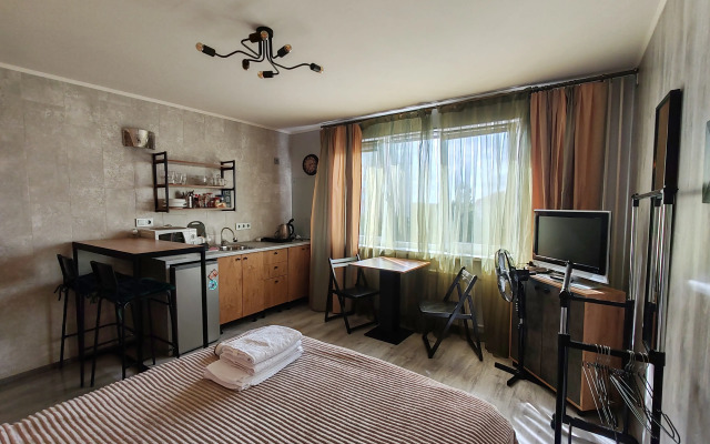 Апартаменты Лофт