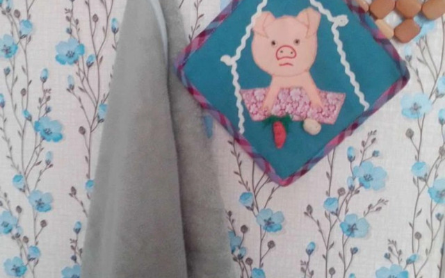 Квартира на Антикайнена 8Б