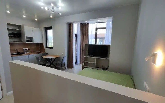 S Balkonom Ak Morskoy Bereg Apartments