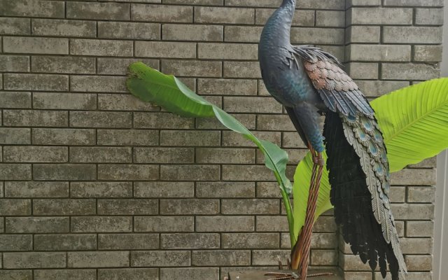 Rajskij Ugolok Gostevoy Dom