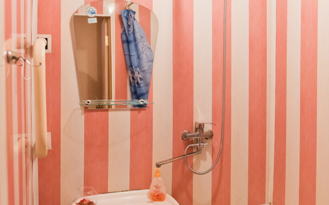 Апартаменты Двухкомнатная квартира пр. Кирова 60 СУПЕР-ЭКОНОМ